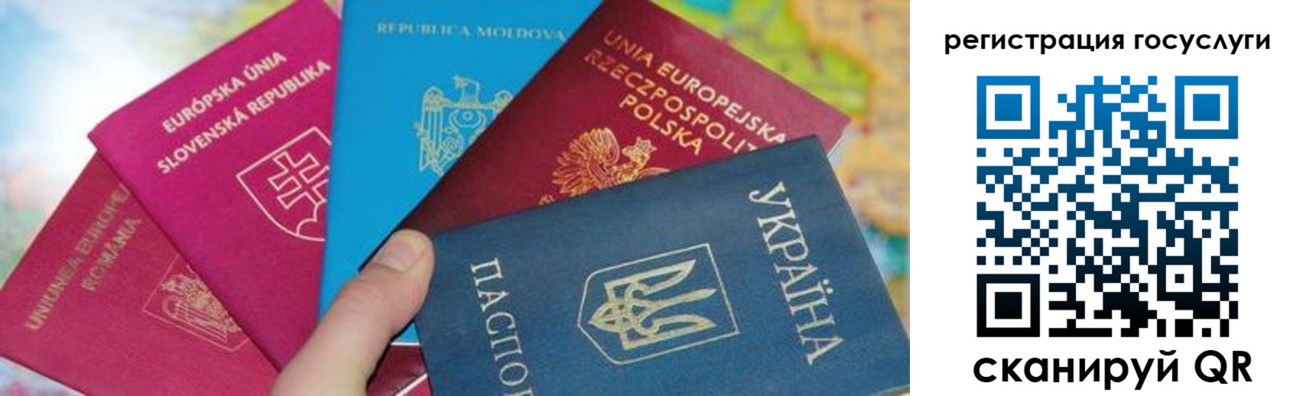 прописка гарантия в Могочи